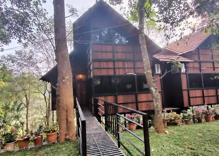 Tree House Wayanad