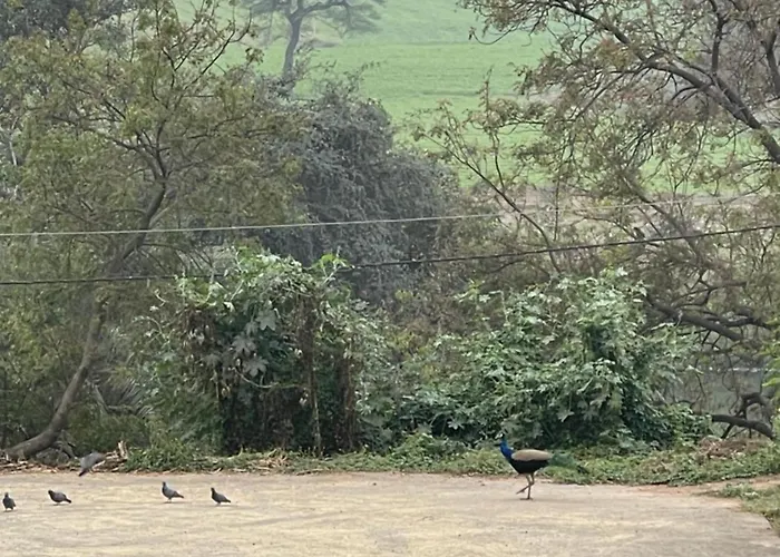 Tekri Farms And Retreat