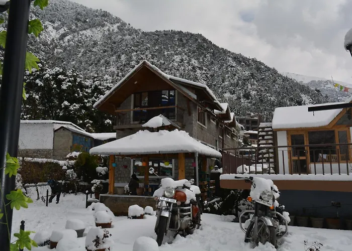 Utopia Hostel Dharamkot Mcleodganj