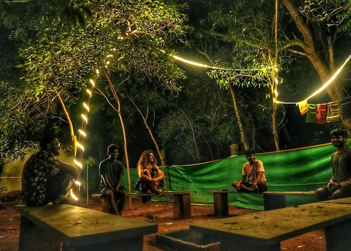 Nebula Nest Cafe & Hostel