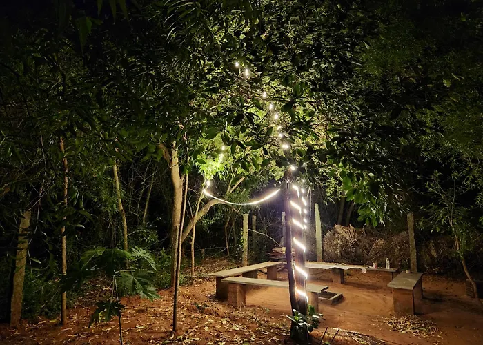 Nebula Nest Cafe & Hostel