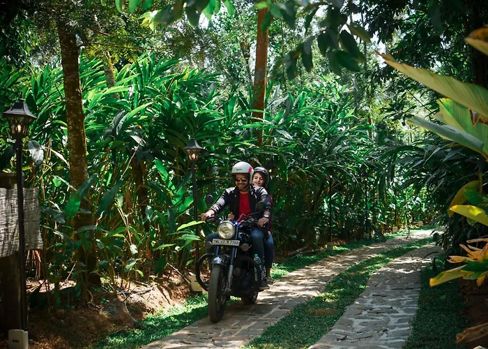 31St December Farms And Estates Munnar