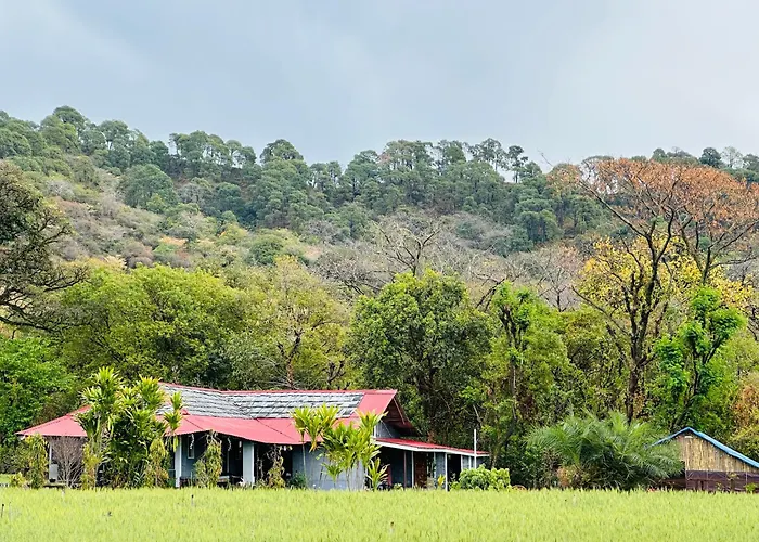 Dreamwoods Farm