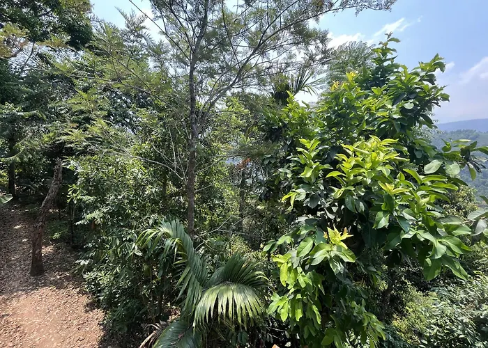 Theeram Agro Farm Hill Resort Pool Villa Vagamon