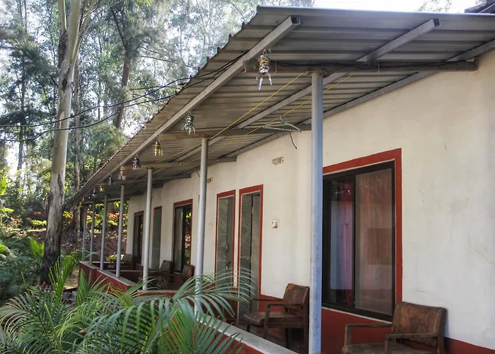 The Jungle Resort Amba
