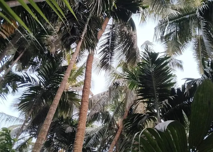 Vaibhav Naik Madhuli Cottage