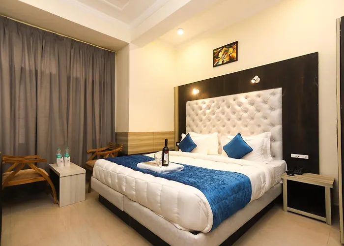 The Nest With Open Rooftop Cafe Mecleodganj Dharamshala