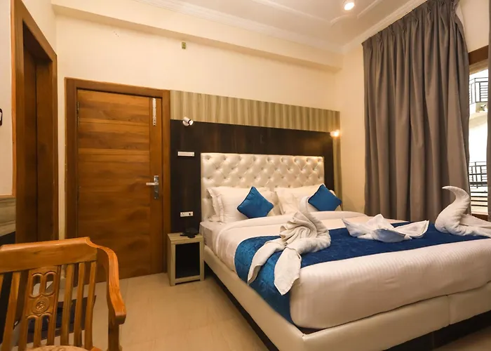 The Nest With Open Rooftop Cafe Mecleodganj Dharamshala