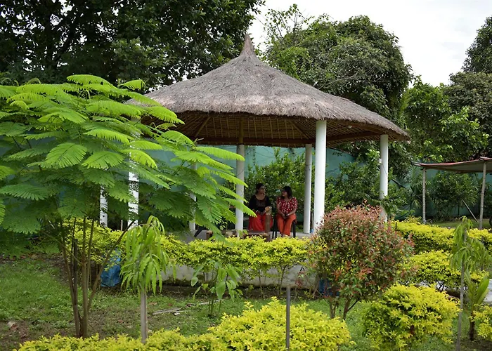 Falcon Jungle Resort