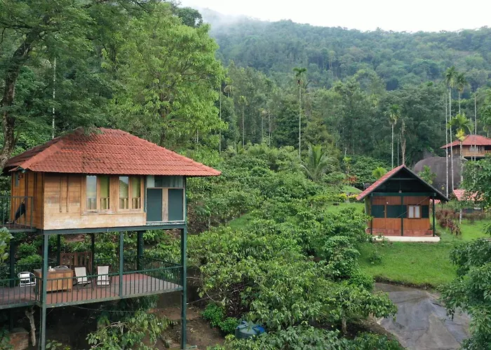 Avadale Wayanad - Stag Groups Not Allowed