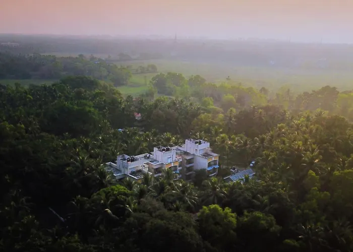 Treehouse Blue, Hotel & Serviced Apartments