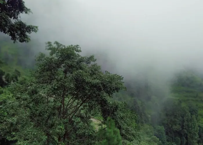 Goroomgo Peace Space Resort Nainital