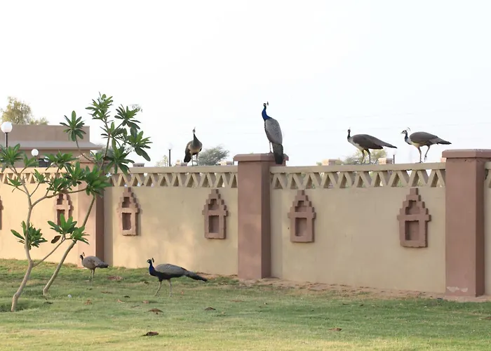 Thar Oasis Resort And Camp