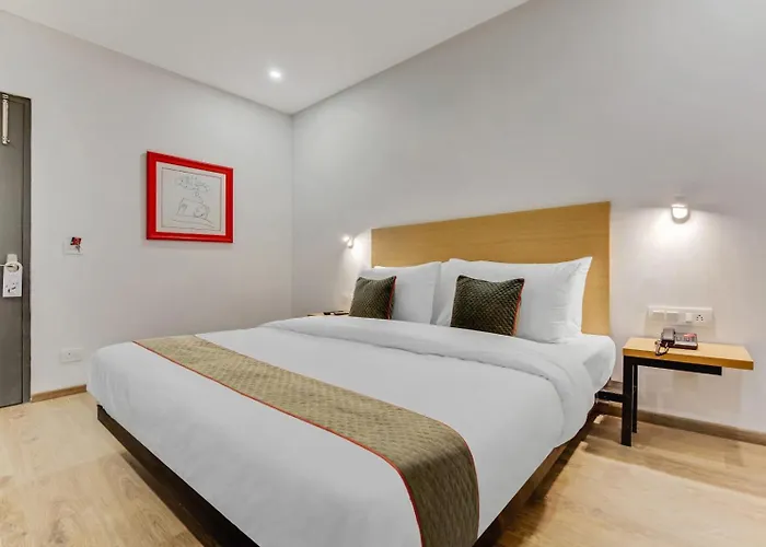 Hotel Ivy Plaza New Delhi