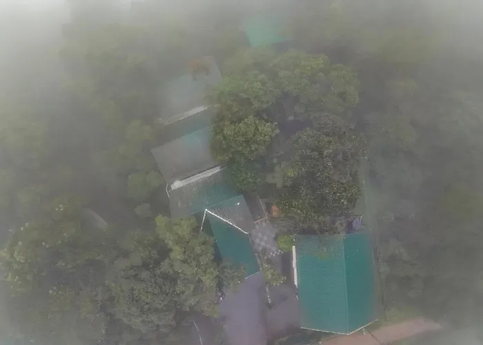 Lakkidi Mist Resort Vythiri