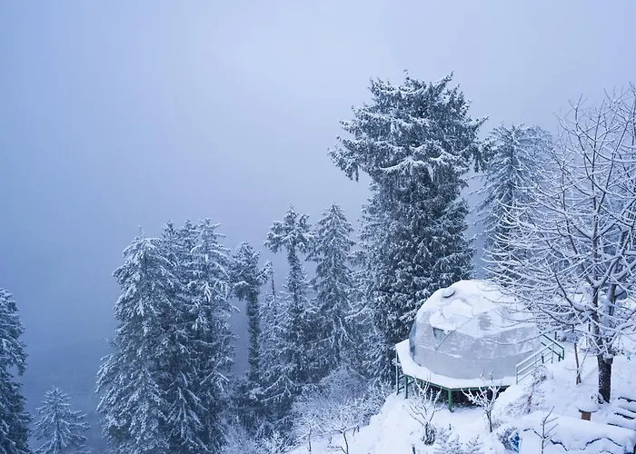 Glampeco Manali
