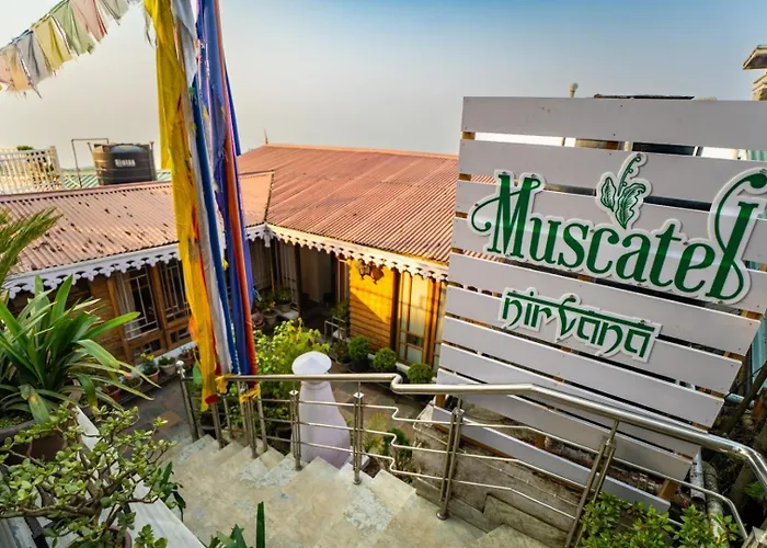 Muscatel Nirvana - At The Mall Road Darjeeling 