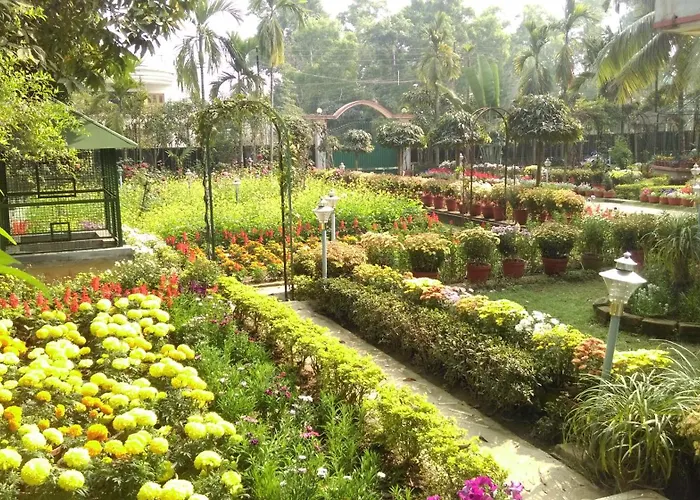 Rater Tara Diner Rabi Resort