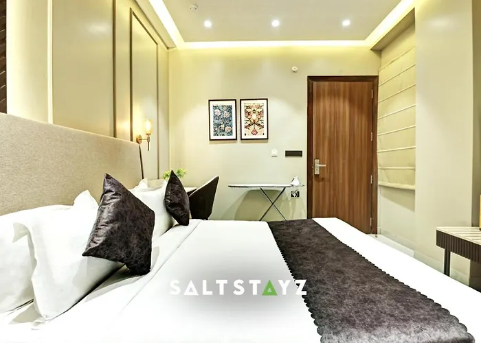 Saltstayz Premier - Pitampura