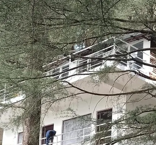 Himalayan Bed & Breakfast, Triund Trekking And Snowline Trekking Hostel