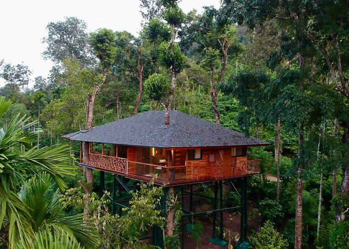 Tranquil Resort - Blusalzz Collection, Wayanad - Kerala