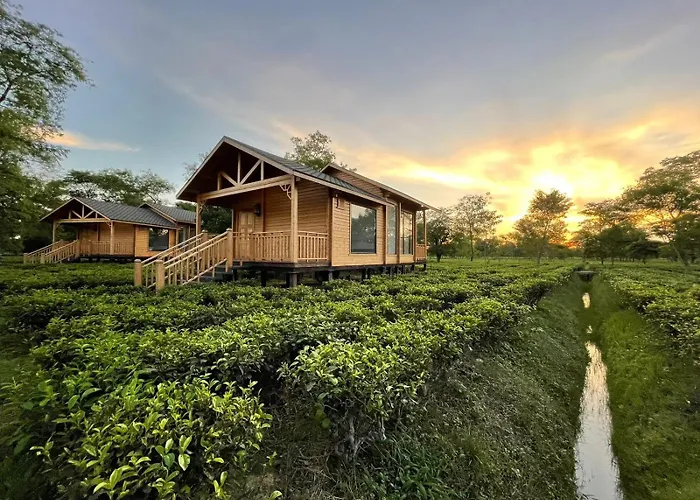 The Postcard In The Durrung Tea Estate, Assam
