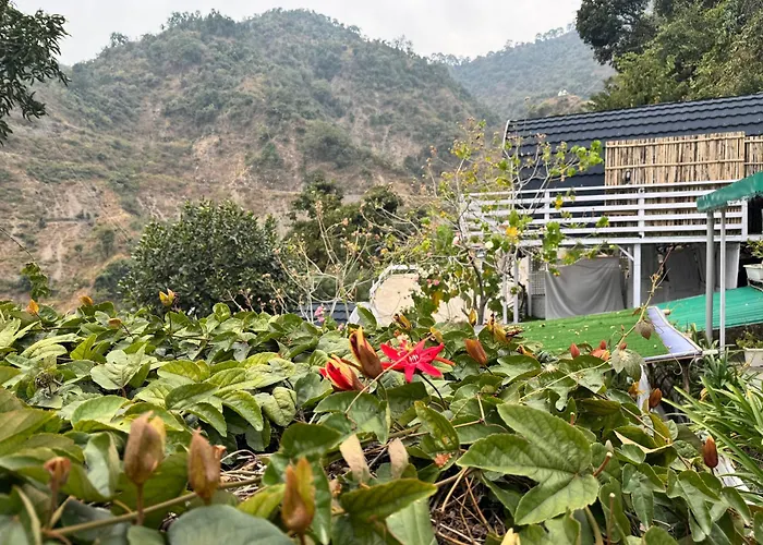 White Tara Healing And Art Retreat