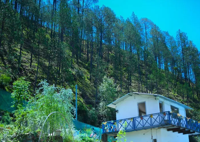 Blossom Bliss Resort