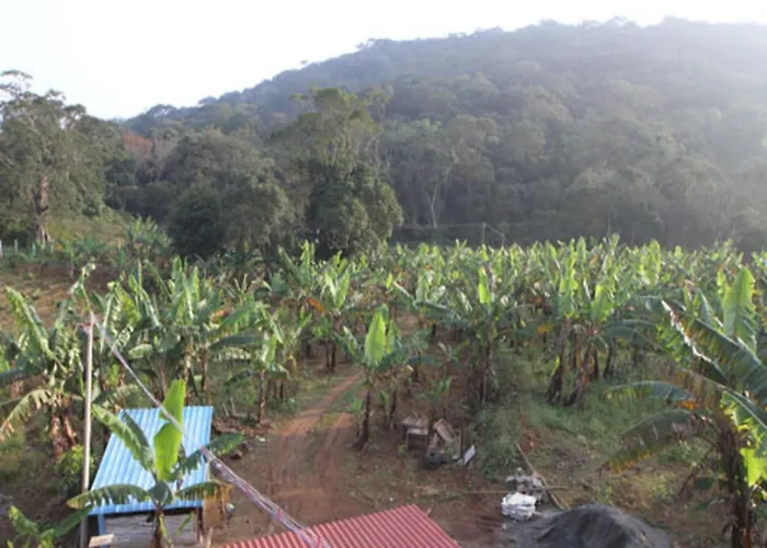 Coastal Grand Mahendravanam - Kolli Hills