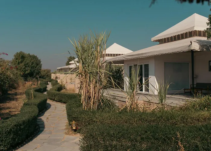 Brij Pola, Jawai - Luxury Jungle Camp With Private Pools