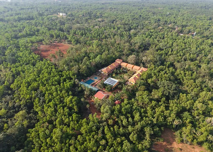 Auro Wellness Castle