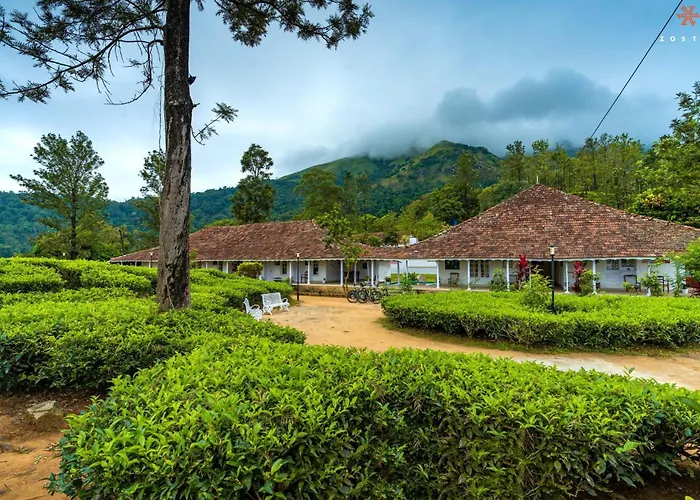 Zostel Plus Wayanad