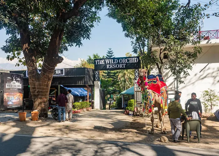 The Wild Orchid Resort Corbett