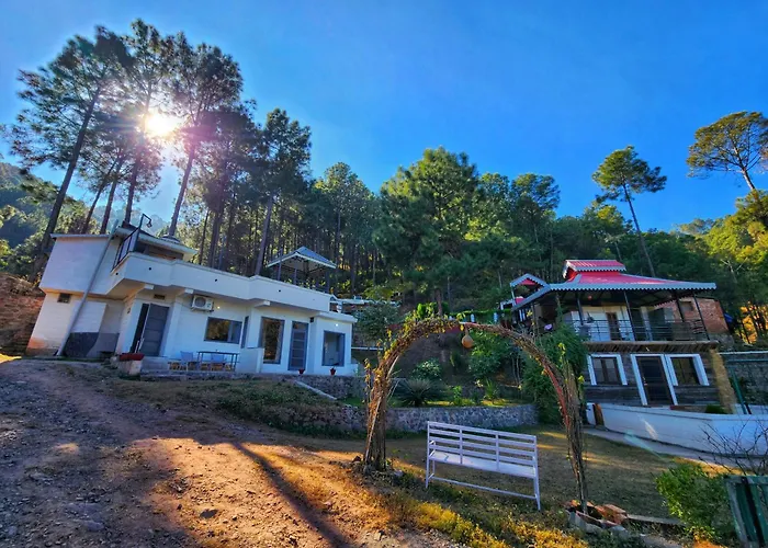 Pine Valley Resort