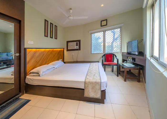 Hotel Dolphin Puri