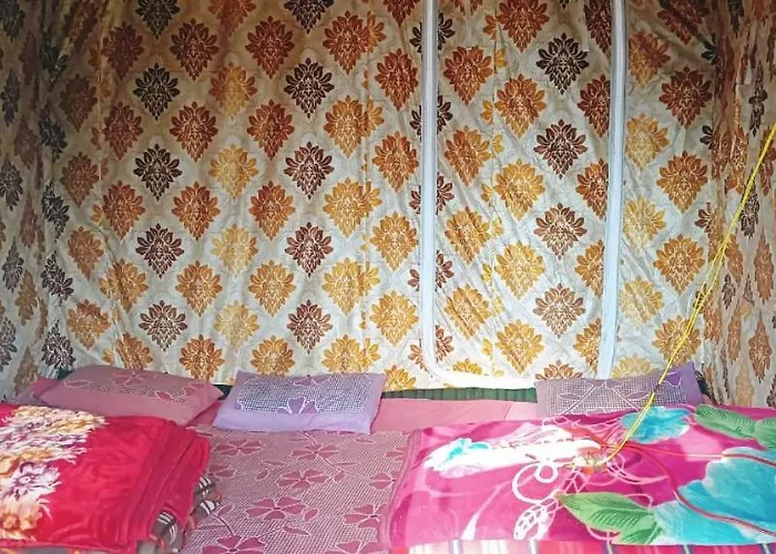Olive Garden Kutla Camping