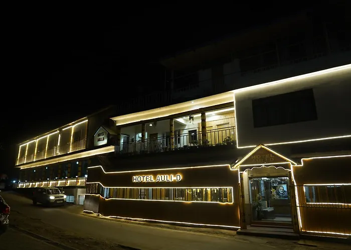 Hotel Auli D