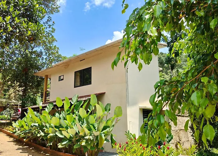 Safari Hills Vythiri