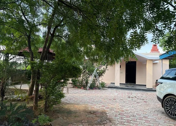 Soul Tree Retreat