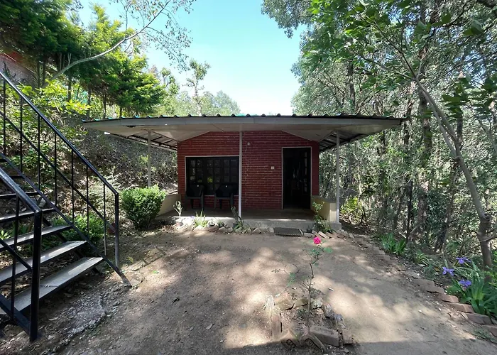 Incredible Birding Camp