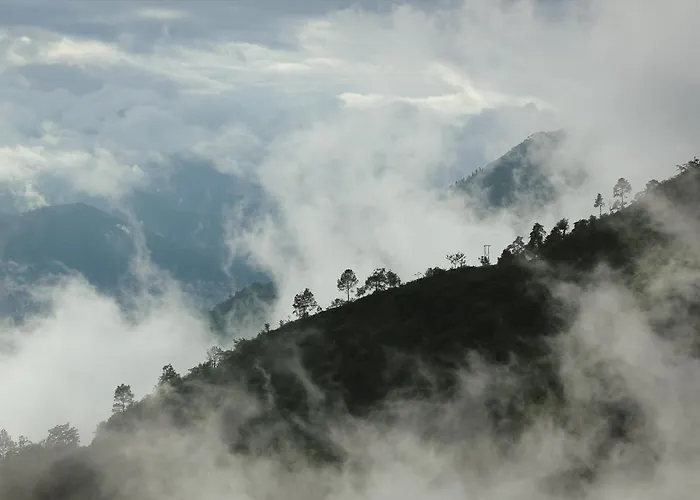 Dug Dug Camps, Bhimtal