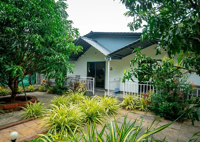 White Truffle Resort, Arambol