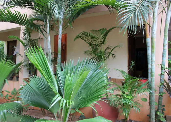 Pv Resort - Auro Beach