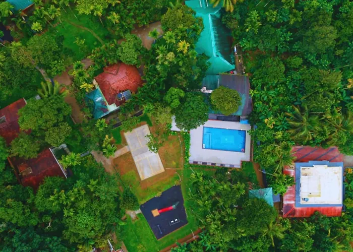 Kedara Resort Wayanad Pet Friendly With Pool