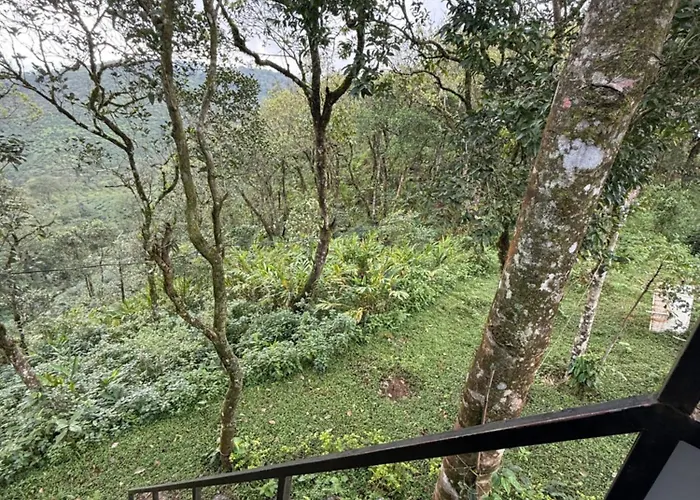 Mount Haze Resort
