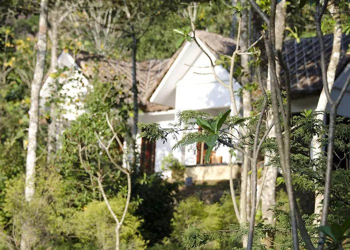 Niraamaya Retreats Cardamom Club