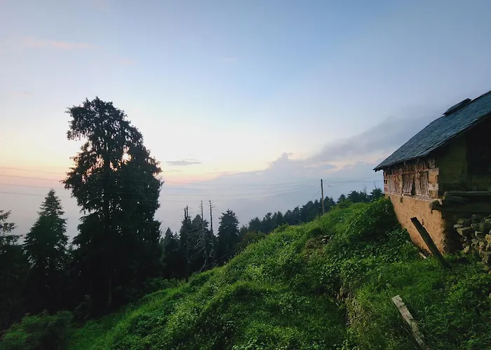 Forest Vibes Kalatop-Rooms And Restaurant