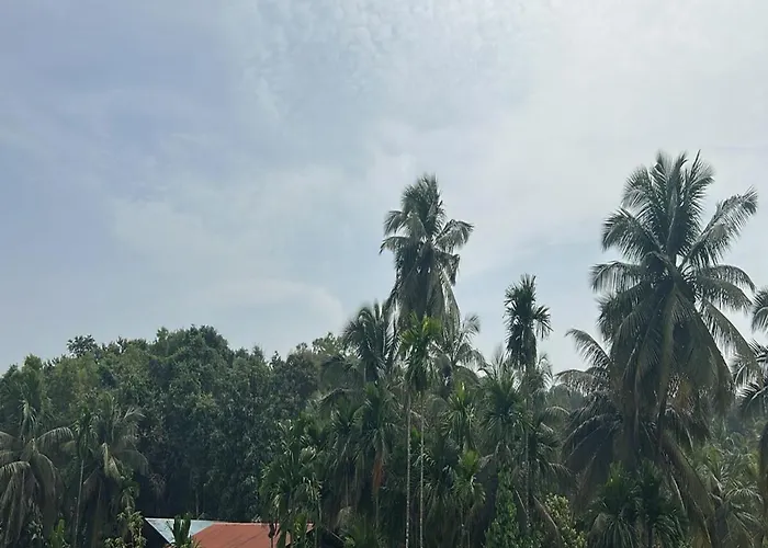 Seeta Residency