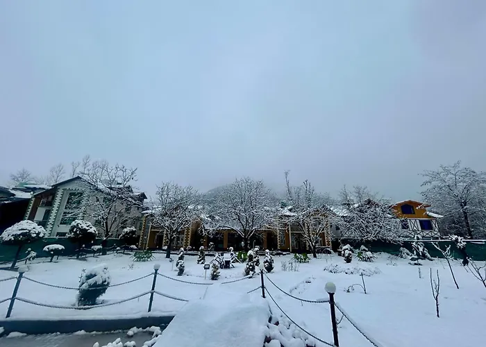 Lidder View The Best River Side Resort In Pahalgam