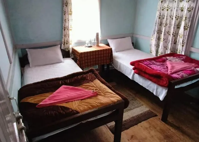 Arara Group Stay